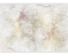 Artgeist Fototapetas - Summer memory - abstract background with shadow of dried leaves