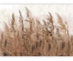 Artgeist Fototapetas - Tall Grasses - Brown