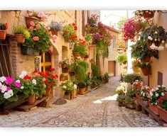 Artgeist Fototapetas - The Alley in Spello (Italy)