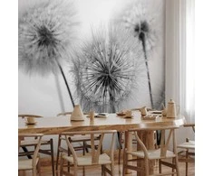 Artgeist Fototapetas - Time for Dandelions - Second Variant