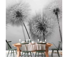 Artgeist Fototapetas - Time for Dandelions - Second Variant