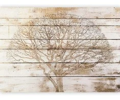 Artgeist Fototapetas - Tree on Boards