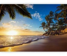 Artgeist Fototapetas - Tropical Beach