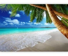 Artgeist Fototapetas - Tropical island