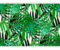Artgeist Fototapetas - Tropical Leaves