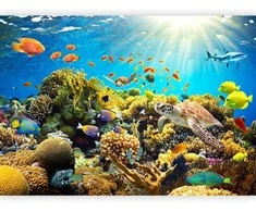 Artgeist Fototapetas - Underwater Land