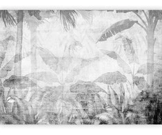 Artgeist Fototapetas - Vanishing jungle - landscape of exotic trees and leaves in pilkas tones