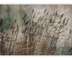 Artgeist Fototapetas - Water Grasses