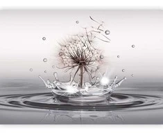 Artgeist Fototapetas - Wind Drops