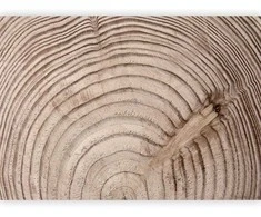 Artgeist Fototapetas - Wood grain