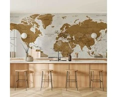 Artgeist Fototapetas - World Map: Baltas Oceans
