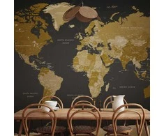 Artgeist Fototapetas - World Map: Modern Geography