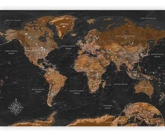 Artgeist Fototapetas - World: Stylish Map