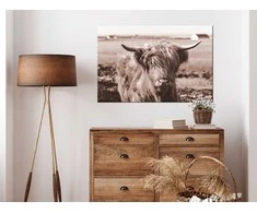 Artgeist Paveikslas - A Scottish Cow in Sepia