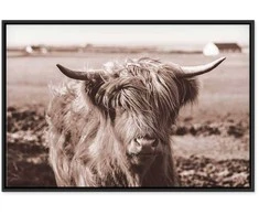 Artgeist Paveikslas - A Scottish Cow in Sepia