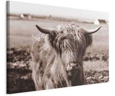 Artgeist Paveikslas - A Scottish Cow in Sepia