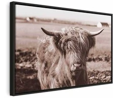 Artgeist Paveikslas - A Scottish Cow in Sepia