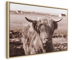 Artgeist Paveikslas - A Scottish Cow in Sepia