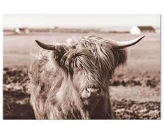 Artgeist Paveikslas - A Scottish Cow in Sepia