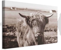 Artgeist Paveikslas - A Scottish Cow in Sepia
