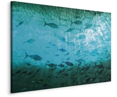 Artgeist Paveikslas - A shoal of dark fish