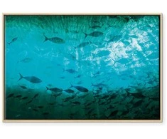Artgeist Paveikslas - A shoal of dark fish