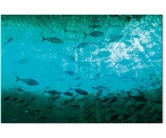 Artgeist Paveikslas - A shoal of dark fish