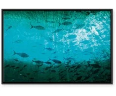 Artgeist Paveikslas - A shoal of dark fish
