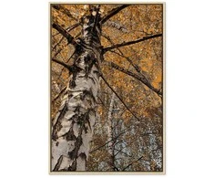 Artgeist Paveikslas - Autumn Colours (1 Part) Vertical