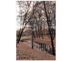 Artgeist Paveikslas - Autumn Walk (1 Part) Vertical