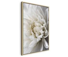 Artgeist Paveikslas - Baltas Dahlia