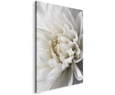 Artgeist Paveikslas - Baltas Dahlia
