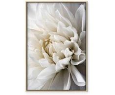 Artgeist Paveikslas - Baltas Dahlia