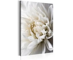 Artgeist Paveikslas - Baltas Dahlia
