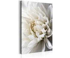Artgeist Paveikslas - Baltas Dahlia