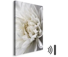 Artgeist Paveikslas - Baltas Dahlia
