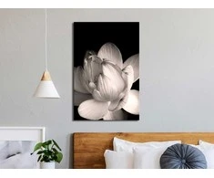 Artgeist Paveikslas - Delicacy of Petals in Nature (1-part) - Flower in Juodas and Baltas