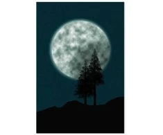 Artgeist Paveikslas - Beautiful Full Moon (1 Part) Vertical
