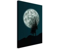 Artgeist Paveikslas - Beautiful Full Moon (1 Part) Vertical