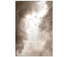 Artgeist Paveikslas - Birds in the Clouds (1 Part) Vertical