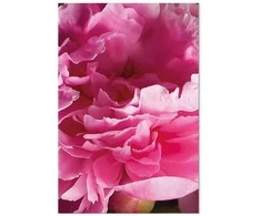 Artgeist Paveikslas - Blossom of Beauty (1-part) - Rožinė Peony Flower Embraced by Nature