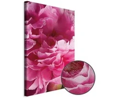 Artgeist Paveikslas - Blossom of Beauty (1-part) - Rožinė Peony Flower Embraced by Nature