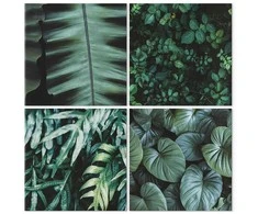 Artgeist Paveikslas - Botanical Gylis (4 Parts)