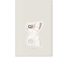 Artgeist Paveikslas - Ceramic Shell (1 Part) Vertical