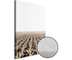 Artgeist Paveikslas - Corn Field (1 Part) Vertical