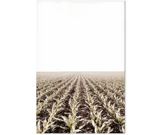 Artgeist Paveikslas - Corn Field (1 Part) Vertical