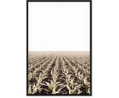 Artgeist Paveikslas - Corn Field (1 Part) Vertical