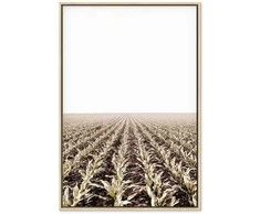 Artgeist Paveikslas - Corn Field (1 Part) Vertical