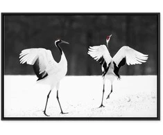 Artgeist Paveikslas - Dancing Cranes (1 Part) Wide