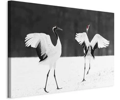 Artgeist Paveikslas - Dancing Cranes (1 Part) Wide